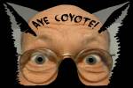 Aye, Coyote!